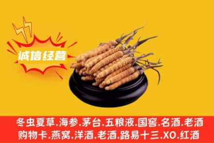 延边龙井市回收冬虫夏草